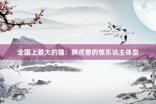 全国上最大的猫：狮虎兽的惊东谈主体型