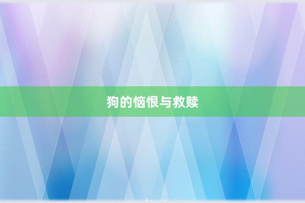 狗的恼恨与救赎