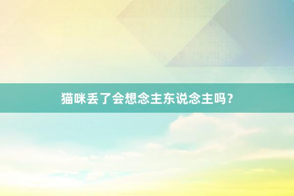 猫咪丢了会想念主东说念主吗？